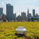 Illustration for article titled There's a Giant Green Roof Hidden Above NYC's Biggest Convention Center